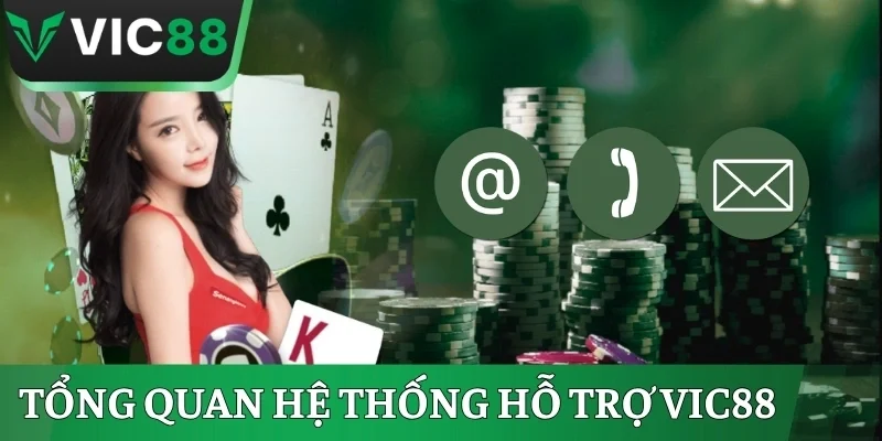 Tổng quan hệ thống hỗ trợ hội viên khi liên hệ VIC88